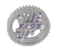 Ingranaggio albero di bilanciamento Cinghia dentata FT45610 FAST per RENAULT