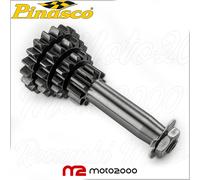 INGRANAGGIO CLUSTER CAMBIO MARCE RACING QUADRUPLO 10-14-18-21 PINASCO