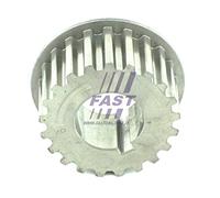 Ingranaggio Condotto