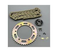 Ingranaggio di trasmissione a catena for motocicletta adatto for Ybr250 Ys250 Set di ingranaggi di trasmissione Catena Accessori for motociclette