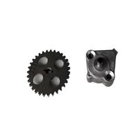 Ingranaggio di trasmissione della pompa 'olio motore compatibile con motori for scooter V125 UZ125 UM125 UA125 HJ125T18 UZ100 VR150 LINDY125(Oil pump and gear)