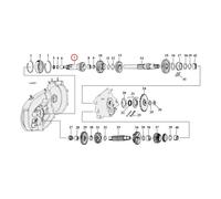 Ingranaggio frizione Andrews, albero principale della trasmissione. 17T L79-E...
