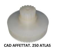 Ingranaggio in nylon per motore affettatrice CAD AFF. 250 ATLAS mod. 18-595/25