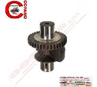 Ingranaggio peso bilanciatore Z16 Massey Ferguson - 3116K004