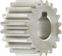 Ingranaggio piccolo modello REBER - per tritaverdure elettrico o manuale N ° 5