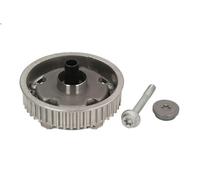 Ingranaggio/Pignone, albero a camme SWAG 40 94 6117 159 (939_) 1.8 2009-2012