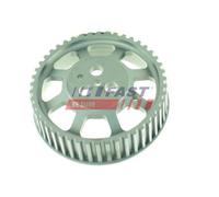 Ingranaggio Pompa Iniezione Fast FT45510 per Fiat Iveco