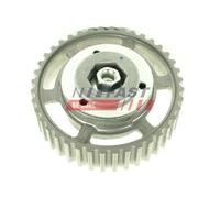 Ingranaggio Pompa Iniezione Fast FT45616 per Renault