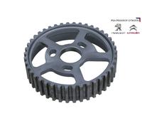 Ingranaggio Pompa Iniezione PSA 193037 Lucas DW8 DW8B 1.9D Diesel