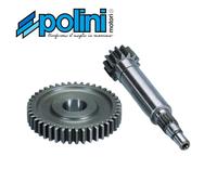 2021318 INGRANAGGIO PRIMARIO ALL.YAMAHA CT-MBK ACTIVE Z=14-43