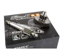 Ingranaggio Primario Stage6 13/43 (3,31) Minarelli d.14
