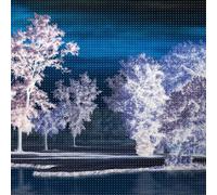 Ingrid Laubrock Last Quiet Place (CD)