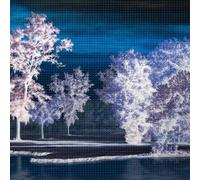 Ingrid Laubrock Last Quiet Place (CD)