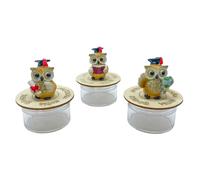 Ingrosso e Risparmio Bomboniera Laurea 6PZ Scatolina Portaconfetti Plexiglass Gufetto Portafortuna Celebrazione Traguardo