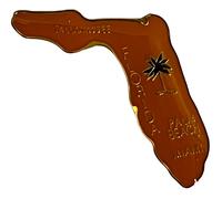 Ingrosso Lotto Di 50 Florida Smalto Stato Mappa Cappello Risvolto Pin (Ace -