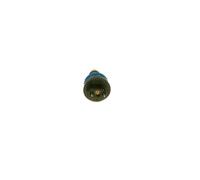 BOSCH Iniettore 0280150651
