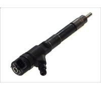 Iniettore BOSCH 0 445 110 248 per IVECO MASSIF Pick-up 3 2008-2011