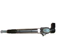 Iniettore carburante Originale Jumper Boxer Ducato 3 2.0HDI 9801125480