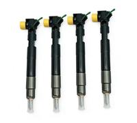 Iniettore Carburante Per Jeep Per Compass 2.2 CRD 4x4 2011-