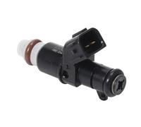 Iniettore Carburante Per Motociclisti Da 1 Pezzo 10 Fori Per Suzuki Per Quadracer 450 Per LTR450 2x4 2006-2009 Per LTR450Z 1047IJ108XG Carburanti Carburante Iniettore
