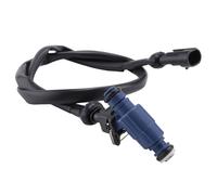 Iniettore Con Set Di Cablaggio A Coda Per RZR