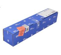 Iniettore DELPHI 28229876-12B1