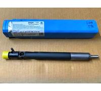 Iniettore Delphi 28280600 / EJBR04901D Compatibile Con Tata 2.2L Dicor