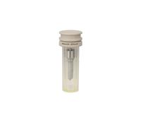 Iniettore DELPHI L193PBC