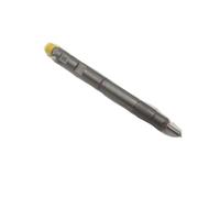 iniettore di carburante 1100100xed95 28599713 Diesel Iniector Egello originale Delphi Compatibile for Great Wall Wingle 7 Poer GW4D20M Motore 2020-on