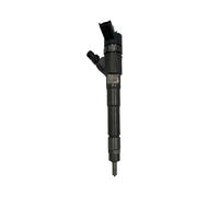 Iniettore Di Carburante Per Ducato Per Daily Per Peugeot Boxer 3.0 D 0445110248 0445110247 504088823 71793015 Nuovo Iniettore Carburante Diesel Iniettore Per Auto