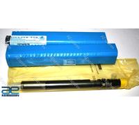 Iniettore Tata 2.2 L Dicor Common Rail 28280600 EJBR04901D Originale Delphi S2u