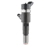 Iniettori Benzina Per CITROEN Per C3 Per DS3 0986435172 0445110339 AV2Q-9F593-AA Ugello Diesel Iniettore Benzina