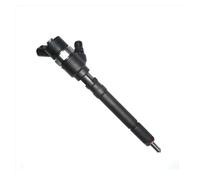 Iniettori Benzina Per KIA Per Ceed Per Rio 1.5L 1.6L CRDi 2005-2012 33800-2A400 0445110255 0445110256 Ugello Diesel Iniettore Benzina(0445110092)
