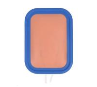 Iniezione Training Pad Infermieri Kit di Formazione endovenosa Venipuntura IV Modello Silicone Sutura Della Pelle Venoso Disegno Sangue Venoso Studio Set