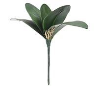INIFLM 2pcs Simulazione Phalaenopsis Orchidee Foglie, Artificiale Falena Orchidea Steli Foglia Vero Aspetto Piante Finto Verde per Fiori Giardino Bonsai Decor