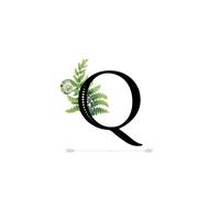 Initial Q Notebook: Unique Smooth Matte Cover Feel, 6''x 9'' Journal, 100 Elegant Cream Lined Pages, One of a Kind Personal Notetaker, Special Gift Idea