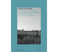 Iniziative dal basso e trasformazioni urbane. L'attivismo civico di fronte alle dinamiche di governance locale