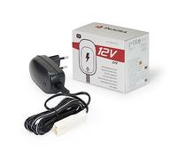 INJUSA - Caricatore per batteria al piombo-acido da 12 V, compatibile con veicoli elettrici Injusa da 12 V, moto, auto e quad a batteria da 12 V, 12 ore di ricarica.