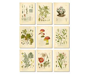 Ink Inc. - Set di 9 stampe artistiche vintage con piante psicoattive allucinogene e disegni botanici, 12,7 x 17,8 cm, senza cornice, canna oca, oppio, papavero, tabacco, assenzio, uva, funghi,