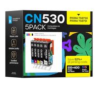 iNKPAD Confezione da 5 cartucce d'inchiostro PGI-530 CLI-531 di ricambio per Canon PGI-530XL CLI-531XL compatibili con Canon TS8750 TS8751