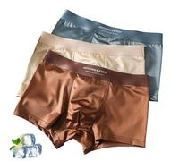INLANDSIS Boxer da uomo in seta di ghiaccio da uomo in seta elegante Slip traspirante Mesh raffreddamento comfort senza cuciture, Combinazione 4., L