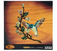Inlaystickers Adesivo per chitarra e basso, motivo: Hummingbird DX B-143HB-14