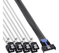 InLine Cavo breakout MCIO x8 a 8X SATA maschio per HDD e SSD 1m