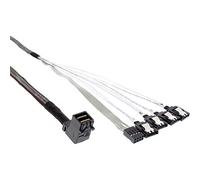 Inline Inline Mini Sas Hd 1.0m 1m T_0286_3130652000 Informatica
