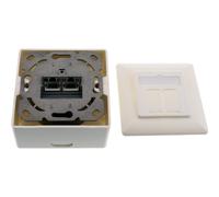 InLine Scatola prese Cat.6A 2x RJ45 F esterno o ad incasso orizzont. 76842W