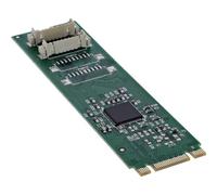 InLine® Scheda di interfaccia M.2 a 2 connettori seriali a 9 poli, con piastra a basso profilo, 76660X