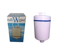 Inline Shower Water Filter x1 - Filters Lime and Chlorine For Healthier Hair And Skin by The Water Filter Men