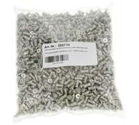 INLINE - Vite di Montagio Argento 5 x 10 mm 2000 pz 33371H