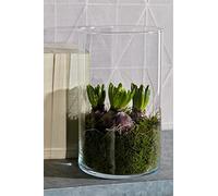 INNA-Glas Vaso da Fiori Cilindro Sanya Earth, Trasparente, 25cm, Ø18cm - Vaso Decorativo