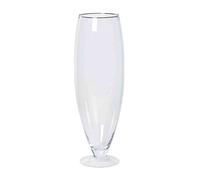 INNA-Glas Vaso da Pavimento Tina, Conico/Rotondo, Trasparente, 67cm, Ø17cm/Ø22cm - Vaso da Piante - Fioriera